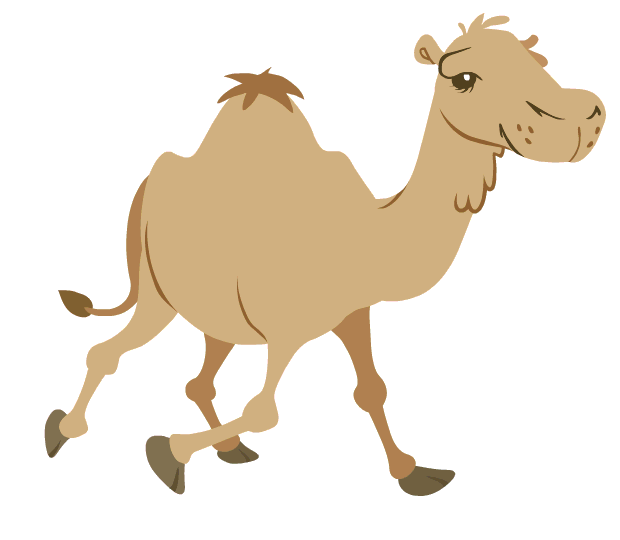 Camel