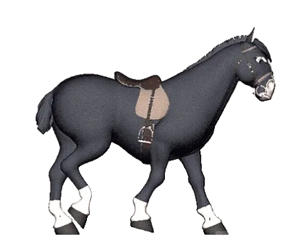 mule