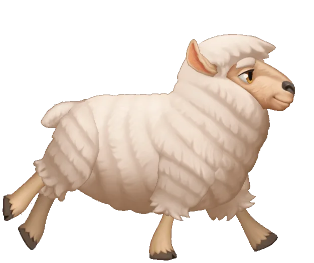 sheep