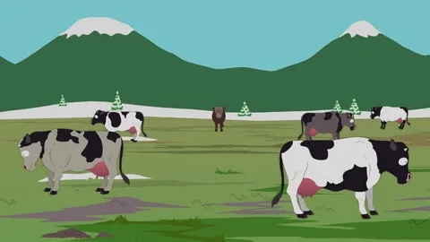 cattle2